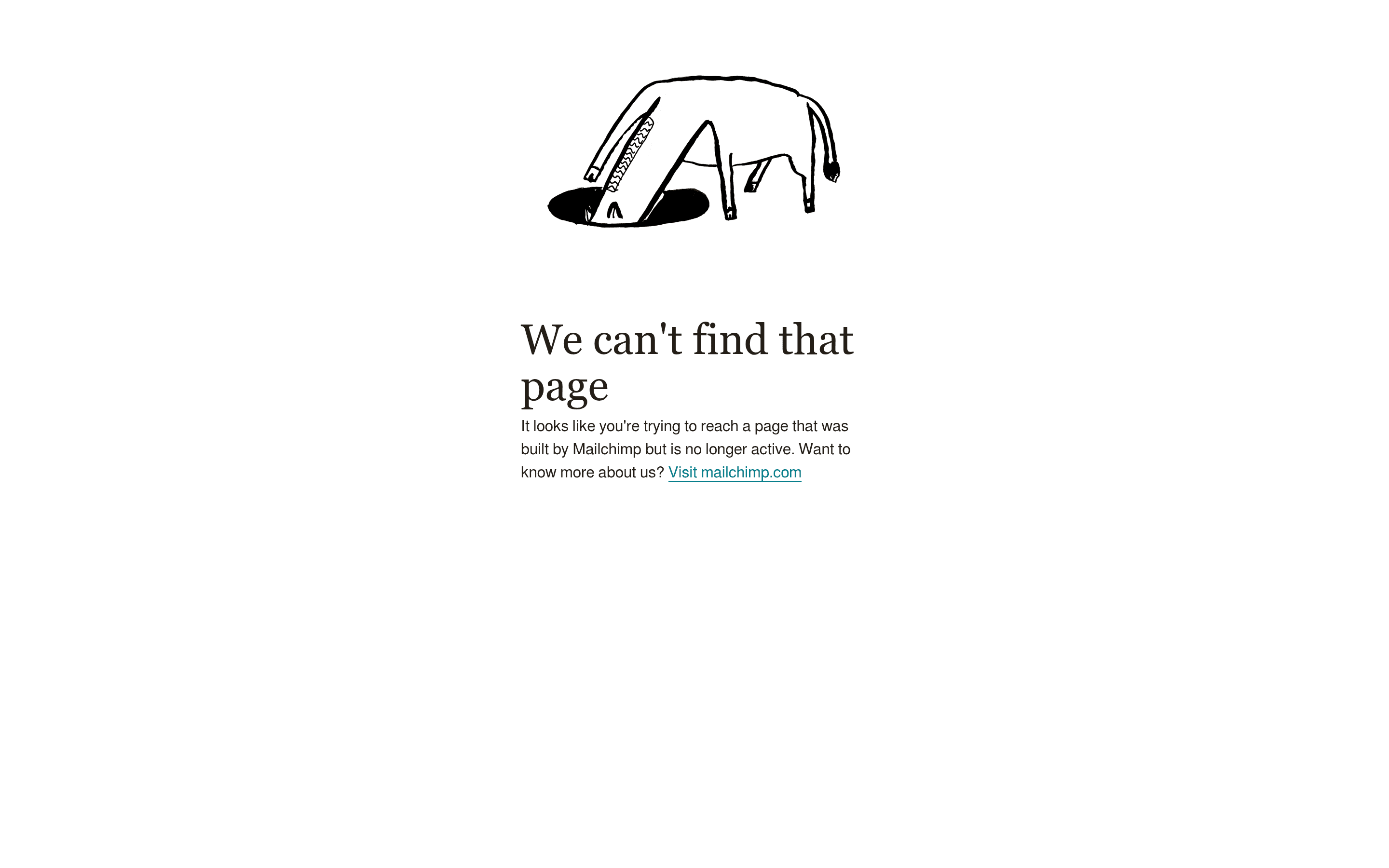 Mailchi landing page screenshot